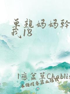 单亲妈妈干36我18