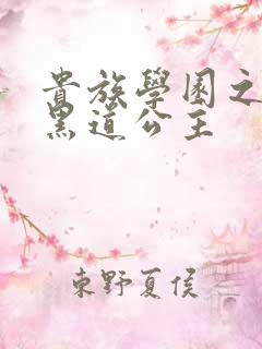 贵族学园之我的黑道公主