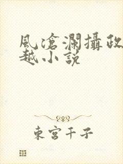 风沧澜摄政王穿越小说