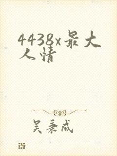 4438x最大人情