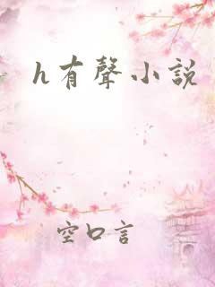 h有声小说