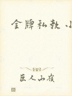 金牌私教 小说