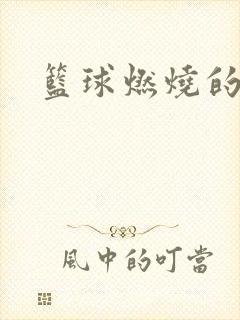 篮球燃烧的岁月