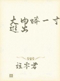 大肉蟒一寸一寸进出