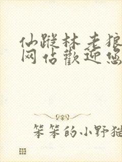 仙踪林老狼官方网站欢迎您