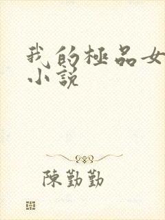 我的极品女老师小说