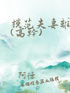 模范夫妻离婚了(高干)