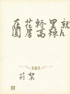 在花轿里就开始圆房高辣h