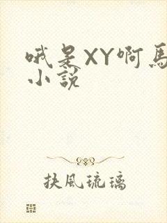 哦是XY啊马仔小说