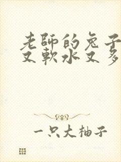 老师的兔子又大又软水又多