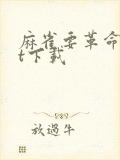 麻雀要革命txt下载