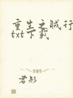 重生之贼行天下txt下载