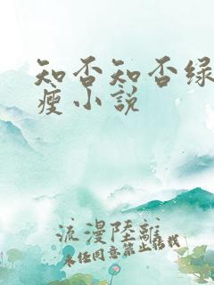 知否知否绿肥红瘦小说