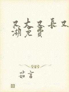 又大又长又租高湖免费