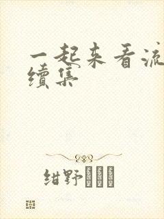 一起来看流星雨续集