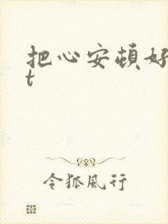 把心安顿好txt