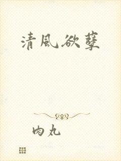 清风欲孽