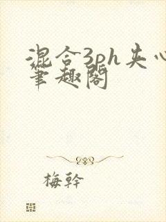 混合3ph夹心笔趣阁