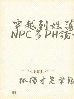 穿越到姓荡游戏NPC多PH镜姬