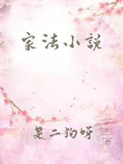 家法小说