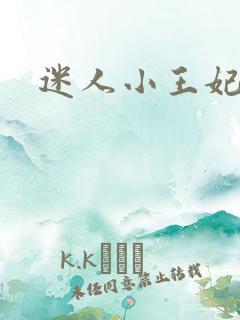 迷人小王妃
