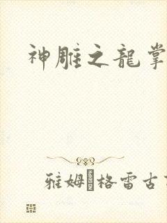 神雕之龙掌门