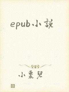 epub小说
