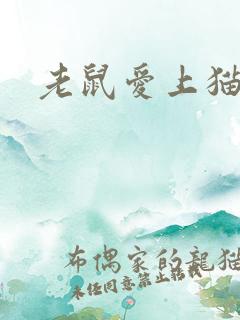 老鼠爱上猫下载