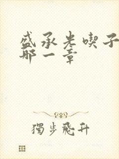 盛承光吃子时奶哪一章