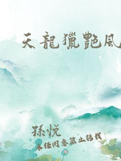 天龙猎艳风流