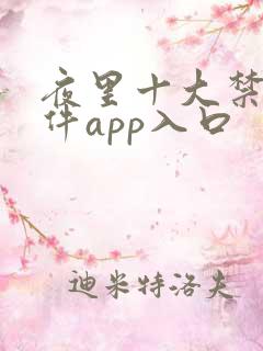 夜里十大禁用软件app入口