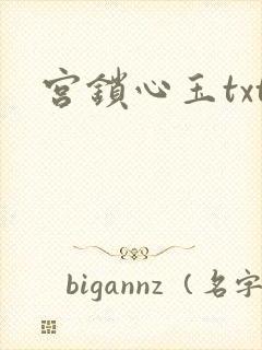 宫锁心玉txt