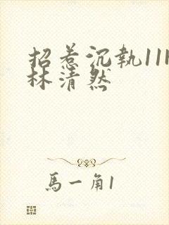 招惹沉执11H林清然