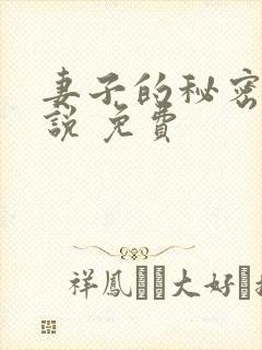 妻子的秘密 小说 免费