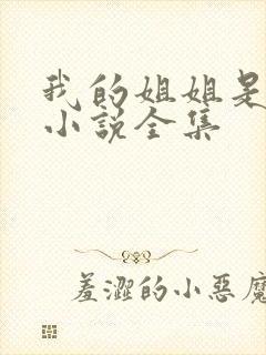 我的姐姐是尤物小说全集