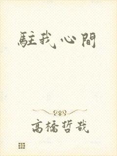驻我心间
