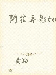 闲花弄影txt