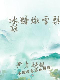 冰糖炖雪梨 小说