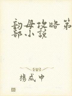 韵母攻略第12部小说