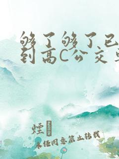 够了够了已经满到高C公交车