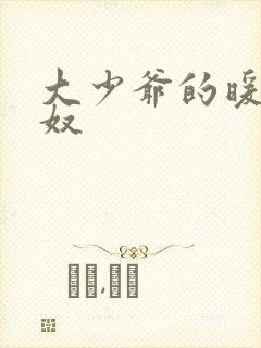 大少爷的暖床小奴