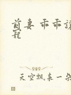 前妻 乖乖让我宠