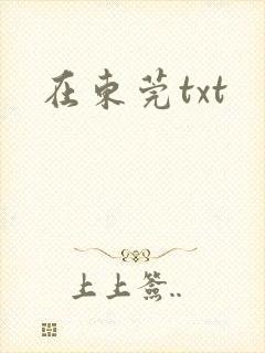 在东莞txt