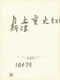 月上重火txt新浪