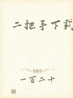 二把手下载