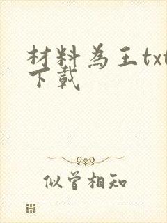 材料为王txt下载