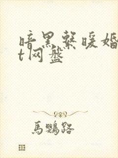 暗黑系暖婚txt网盘