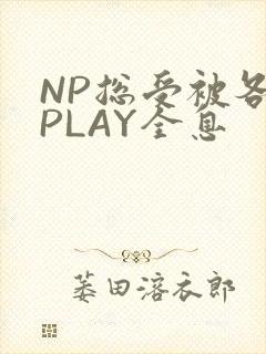 NP总受被各种PLAY全息