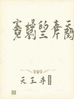 寡妇的春天白花儿刘三斤阅读