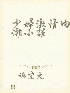 少妇激情肉欲高潮小说
